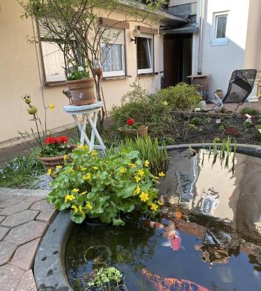 Ferienwohnung Bongartz