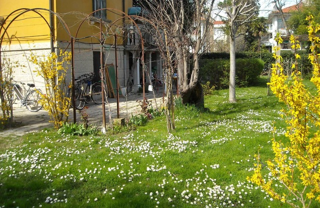Ferienwohnung CANAL 1 in Villa mit Garten Venedig Lido