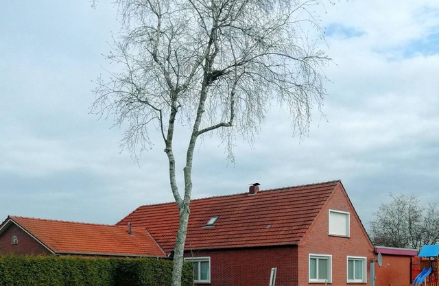 Ferienwohnung Erica 35223 - Ferienwohnung Erica