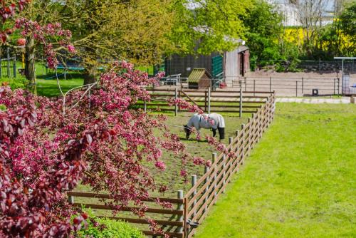 Ferienwohnung Fachwerkhaus - Süden oben - Bauernhof Hopp Vadersdorf