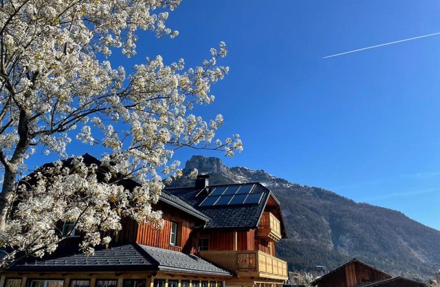 Ferienwohnung Flora Altaussee - Your Austrian Home