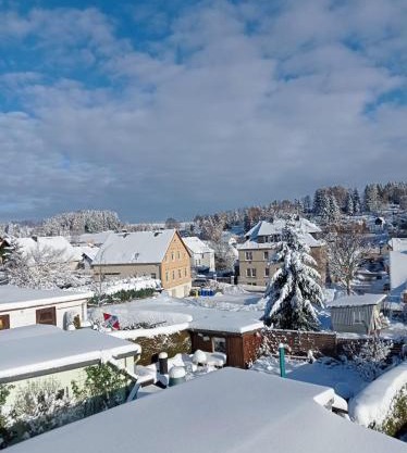 Ferienwohnung Greifenbach, Gartennutzung, Haustiere willkommen