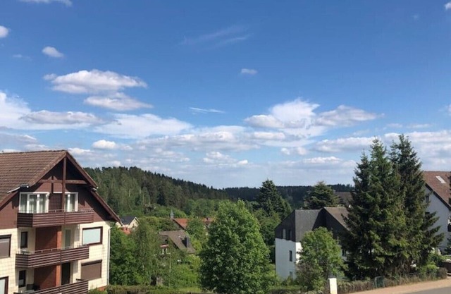 Ferienwohnung Harzwiese Ruhig Zentral mit Ausblick