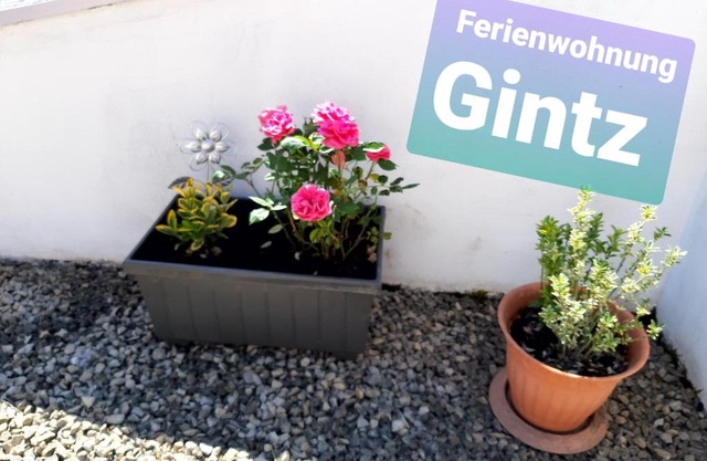 Ferienwohnung Haus Gintz