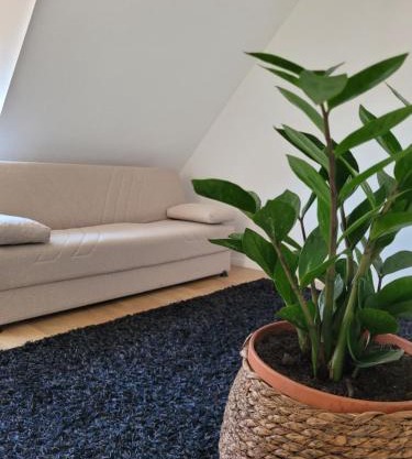 Ferienwohnung Hausnummer 1, Kontaktloser Self check-in