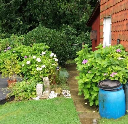 Ferienwohnung Im Waldwinkel