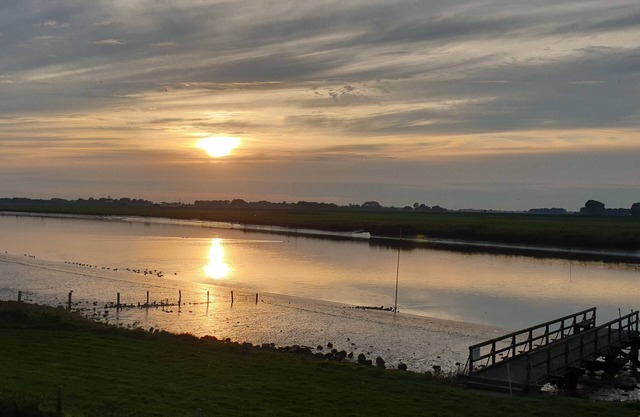 Ferienwohnung in Alleinnutzung mit Garten und Teich, Nähe Sankt Peter Ording