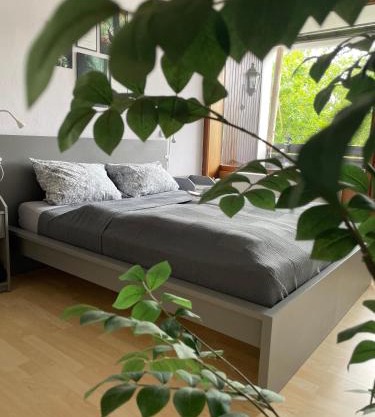 Ferienwohnung in Freudenstadt-Kniebis II