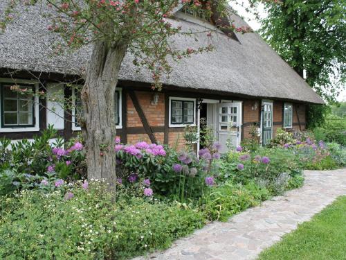 Ferienwohnung in Reddelich for 4 Personen