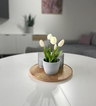 Ferienwohnung Johannes
