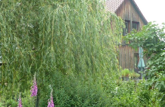 Ferienwohnung Lotti