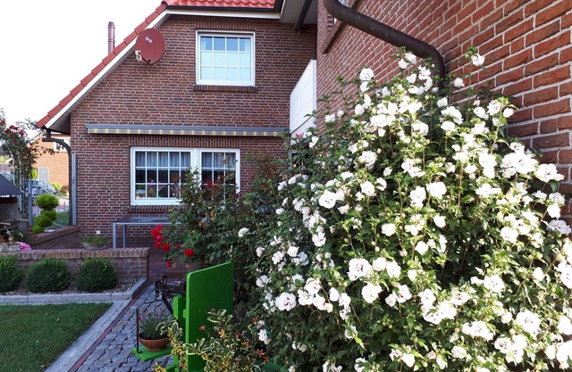 Ferienwohnung Margarete, 65340 - Holiday apartment in East Frisia 50sqm, max. 4 persons