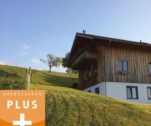 Ferienwohnung mit Aussicht im Bergdorf Steibis im Allgäu