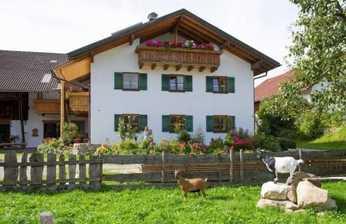 Ferienwohnung Mohnblume