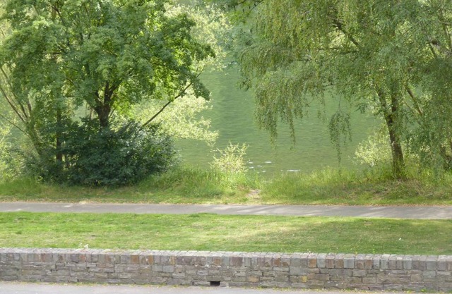 Ferienwohnung Moselblick