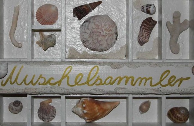 Ferienwohnung Nr. 06 Muschelsammler, OG, 39qm, 1 Schlafzimmer, Max. 2 Personen