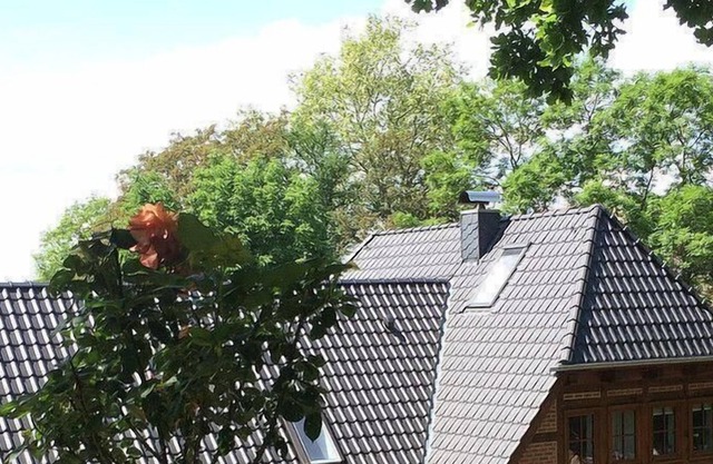Ferienwohnung "pleissenhaus"