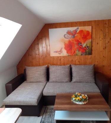 Ferienwohnung-Ritscher-in-Lichtenhain-2