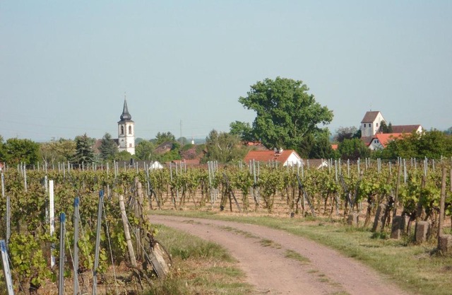 Ferienwohnung Südpfalz