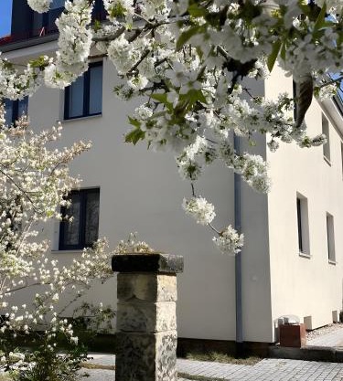 Ferienwohnung Skyline Suite