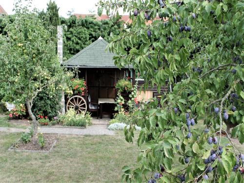 Ferienwohnung Sommerglück in Proseken