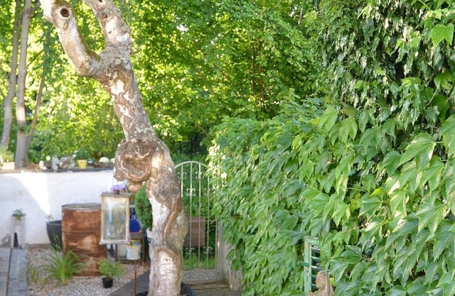 Ferienwohnung Storchennest
