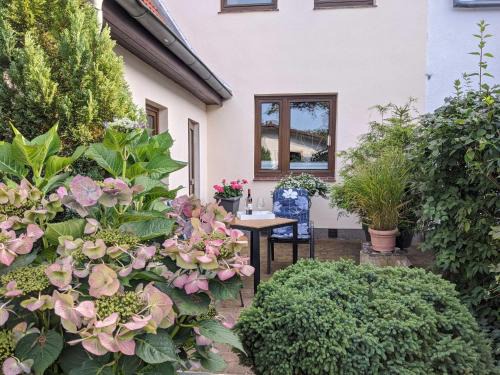 Ferienwohnung Struck Objekt 76996