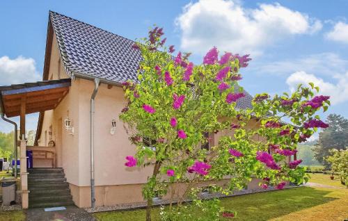 Ferienwohnung Torgelow