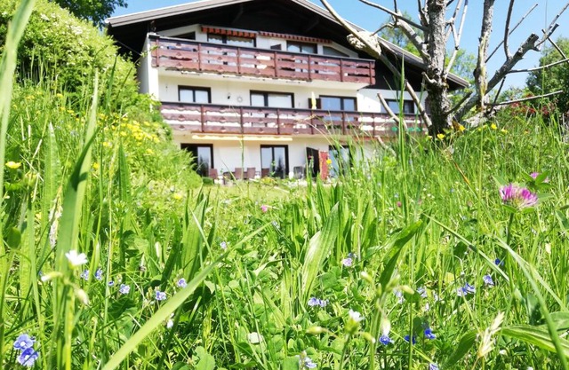 Ferienwohnung Tschengla mit eigener Sonnenterrasse - Wiese - Wlan - Netflix