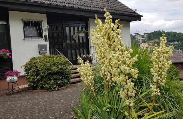Ferienwohnung Wahlich