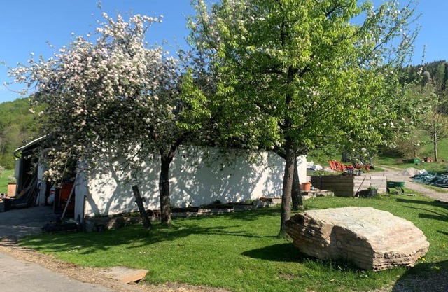 Ferienwohnung Waldköhlerei
