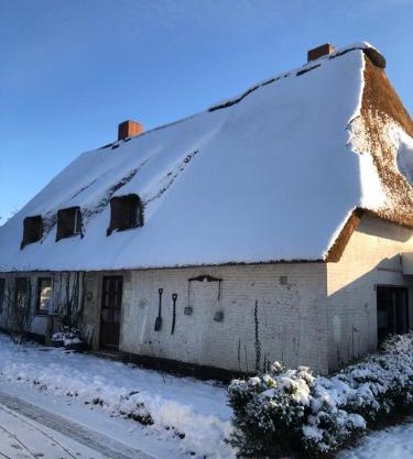 Ferienwohnungen im Reetdachhaus