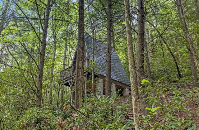 Fern Grove - Camping Cabin Retreat in RRG KY!
