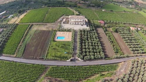 Feudo Vagliasindi -Wine Experience-