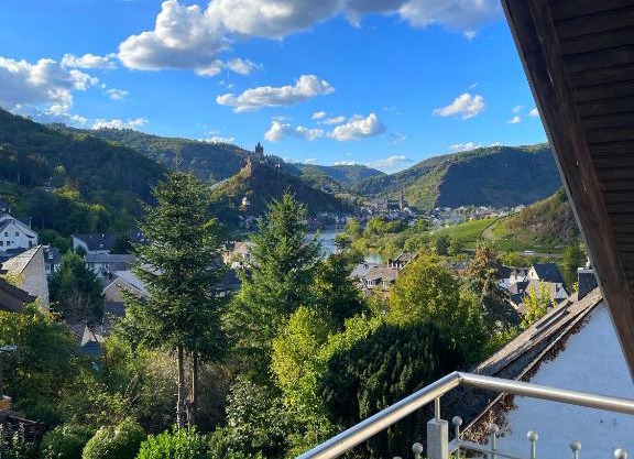 Fewo Burg,Mosel,Tal-Blick