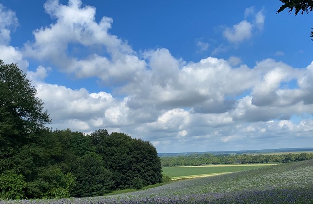 Fewo Hasen Suite, Deutschland