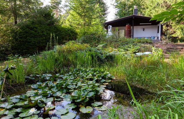Fewo/haus zur Alleinigen Verfügung mit Grossem Gartenparadies Inkl. Teich