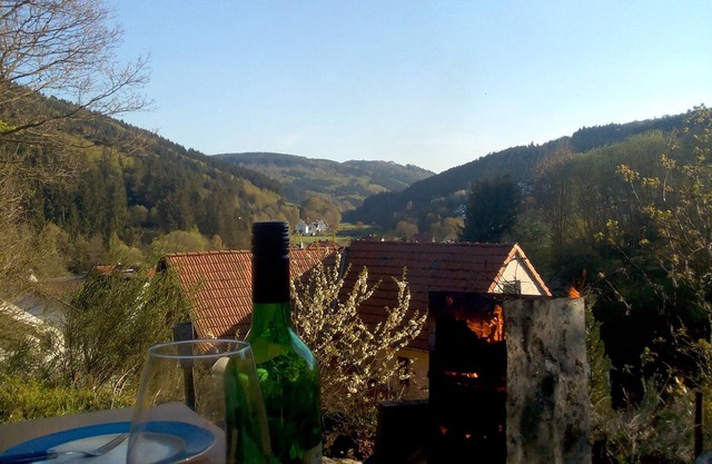 Fewo Pacohaus Nahe Willingen/Diemelsee Berg und Wald