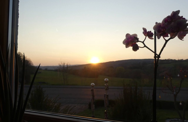 FeWo Sophia, just switch off and enjoy a few days of nature.