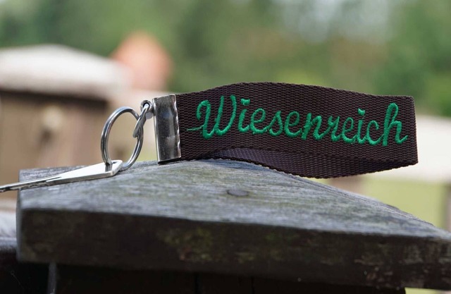 Fewo Wiesenreich - Sophienhof New Heinde