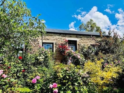 Fig Tree Cottage