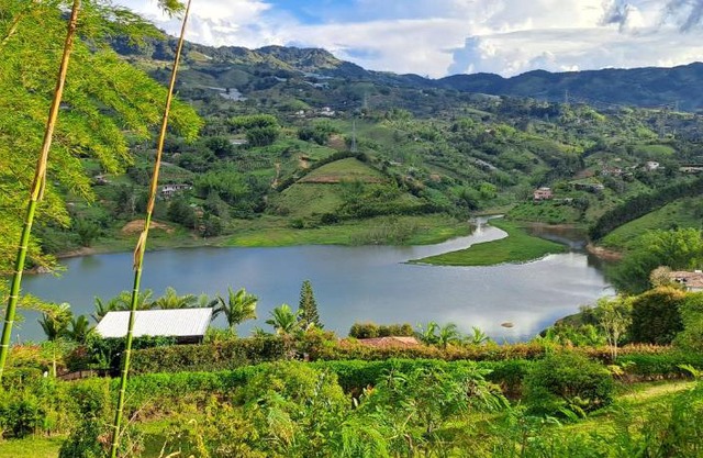 Finca Buena Vista