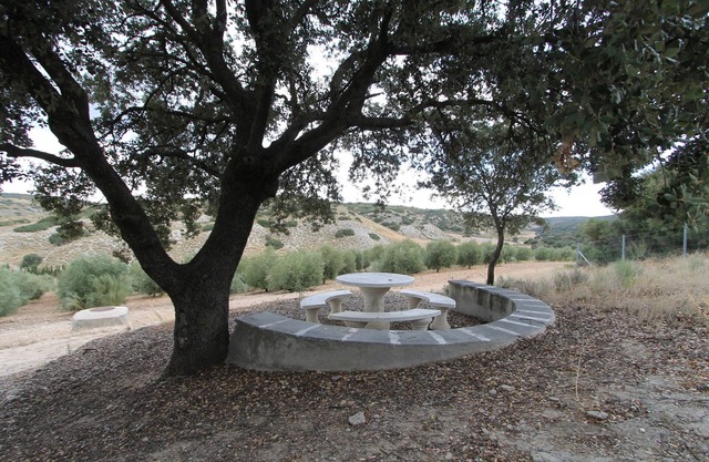 Finca Casa Rural Victoria near Madrid and Warner Park. Max Capacity 24
