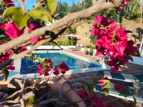 Finca Flamenco Holiday Suites Adults Only