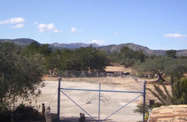 Finca Gamundi
