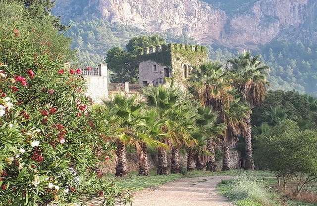 Finca Hotel Son Pont