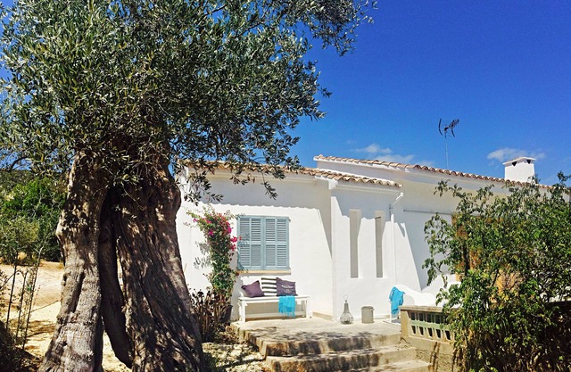 Finca in the olive grove with mountain views and pool, central location