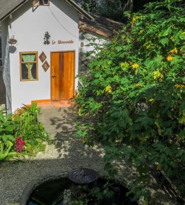 Finca Los Abuelos - La Planta