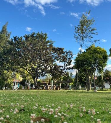 Finca San Alejandro