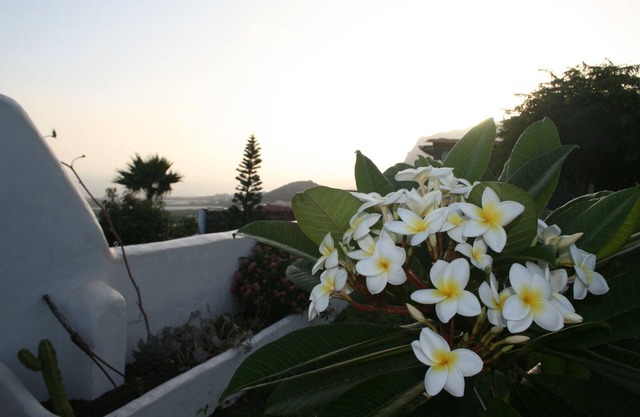 Finca vacation . Also great for internet nomads